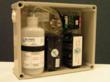 In-Pipe Technology Launches a YouTube Channel Featuring Green Sewer...